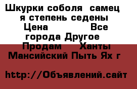 Шкурки соболя (самец) 1-я степень седены › Цена ­ 12 000 - Все города Другое » Продам   . Ханты-Мансийский,Пыть-Ях г.